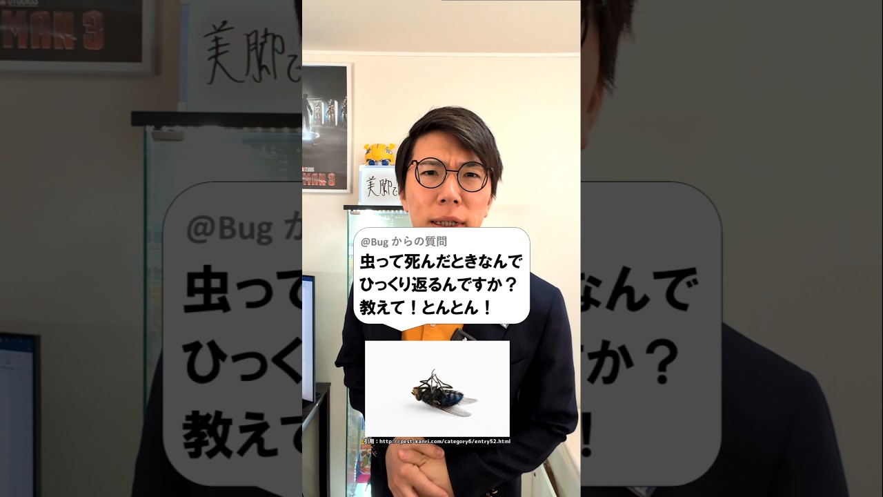 アイキャッチ画像