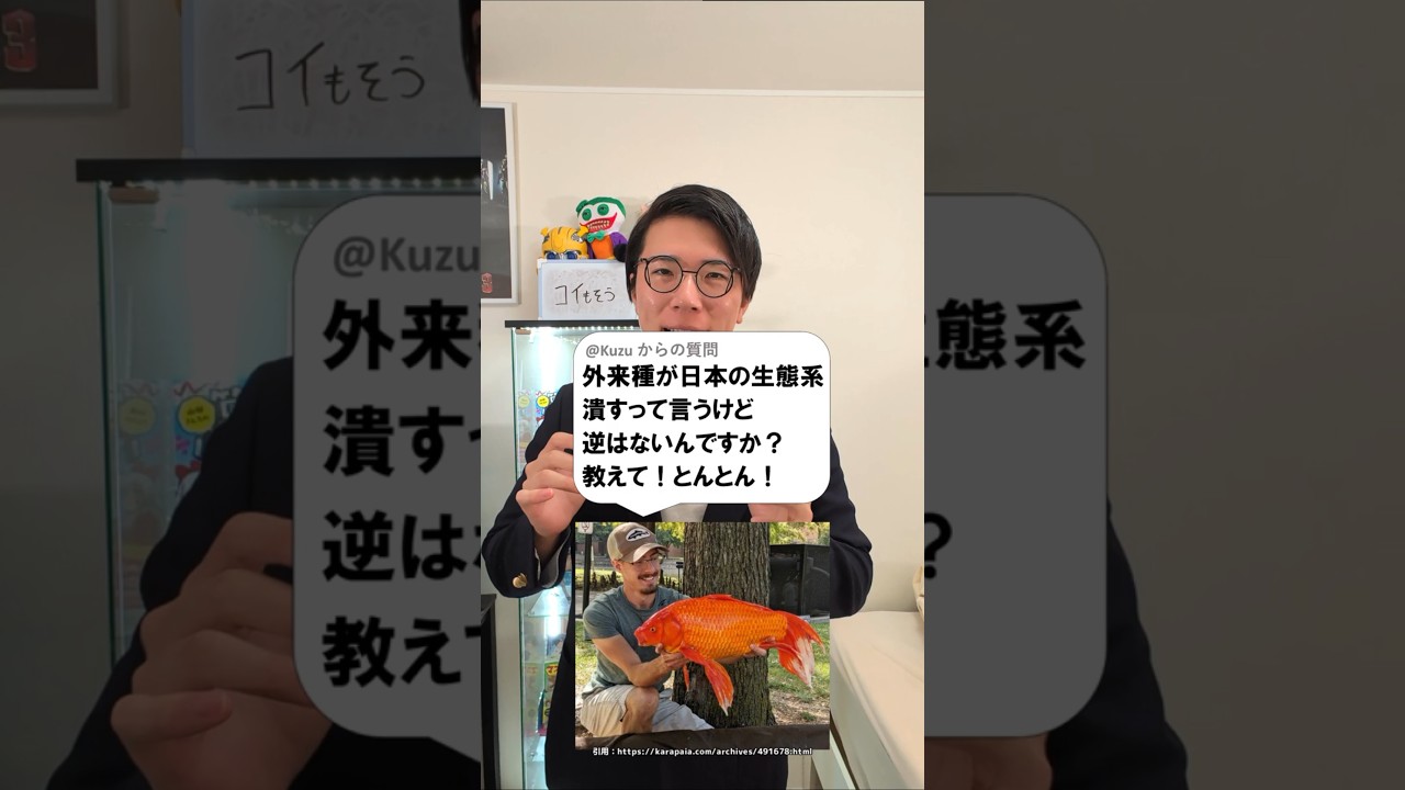 アイキャッチ画像